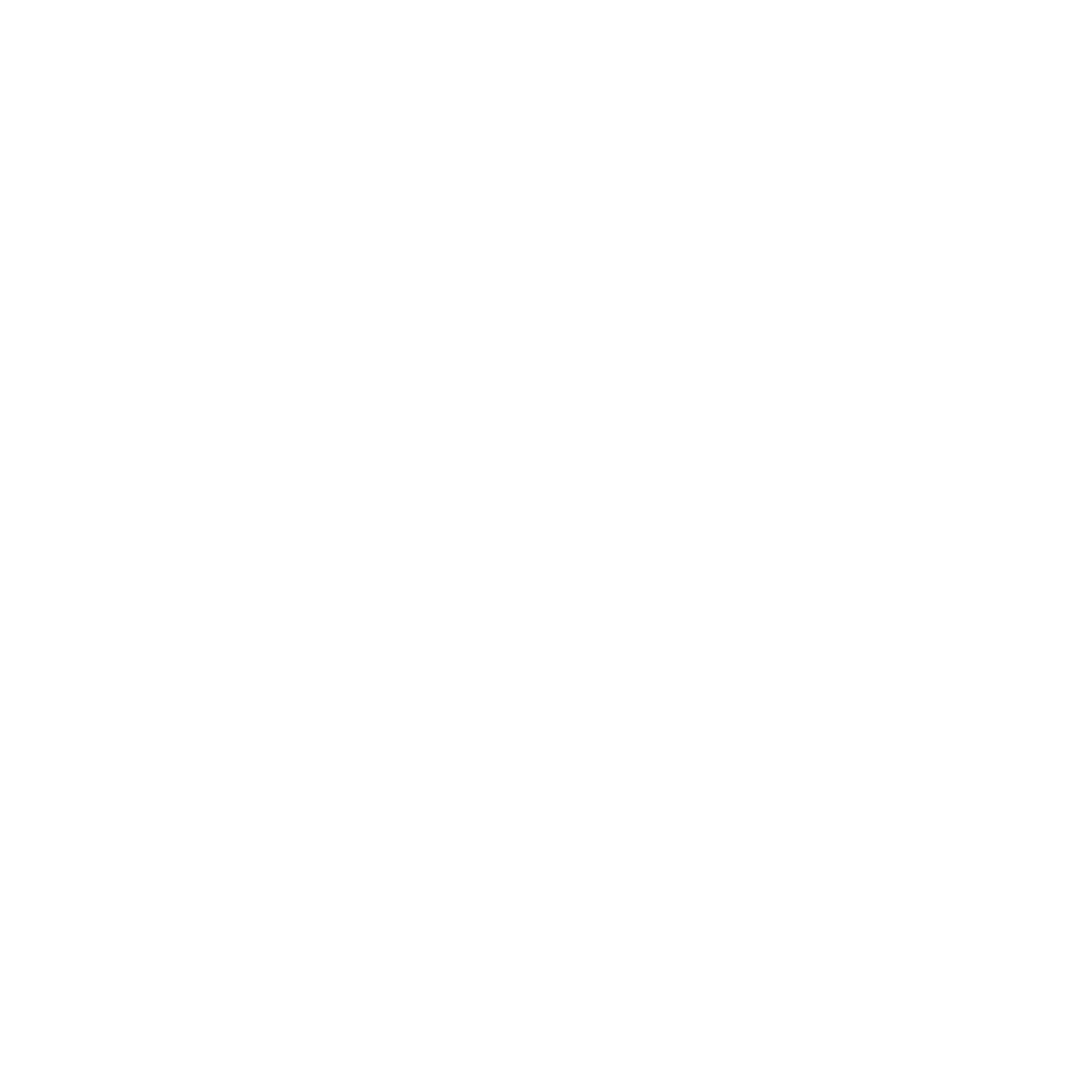 rey's window tinting logo
